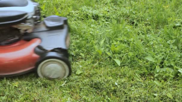 Lawnmower — Stock Video