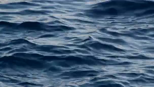 Surface d'eau