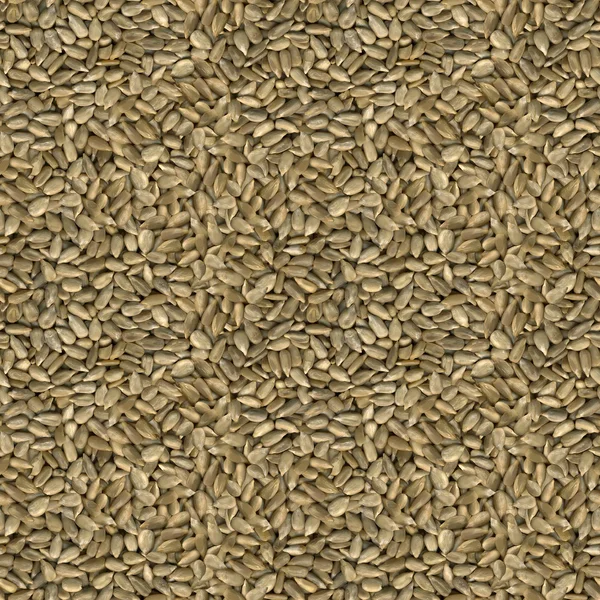 Sunflower Seeds Seamless Texture — Stock Photo, Image