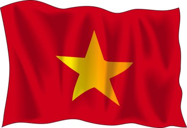 Vietnam bayrağı