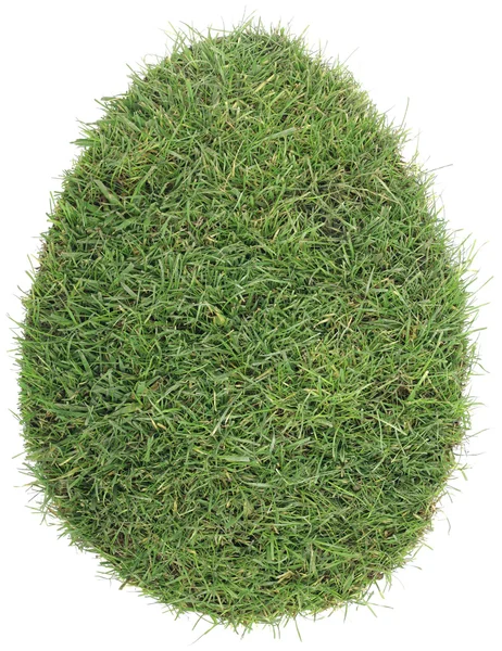 Egg Shape of Grass Turf Cutout — Stock Photo, Image