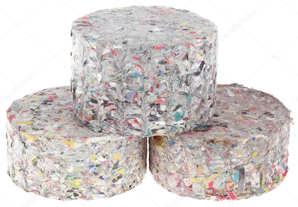 Paper Log Briquettes Cutout