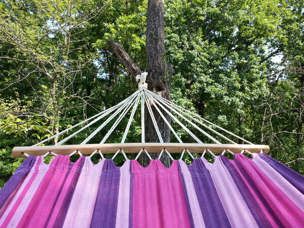 Hammock