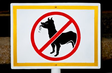 köpek izin verilen bir iz yok