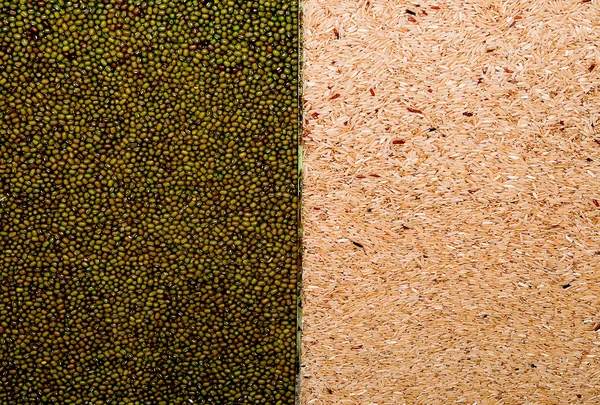 Die bunt gestreiften Reihen trockener grüner Bohnen und brauner Reisbacken — Stockfoto