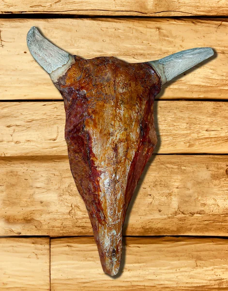 Model head skull of cow on wood background — Stock Photo, Image