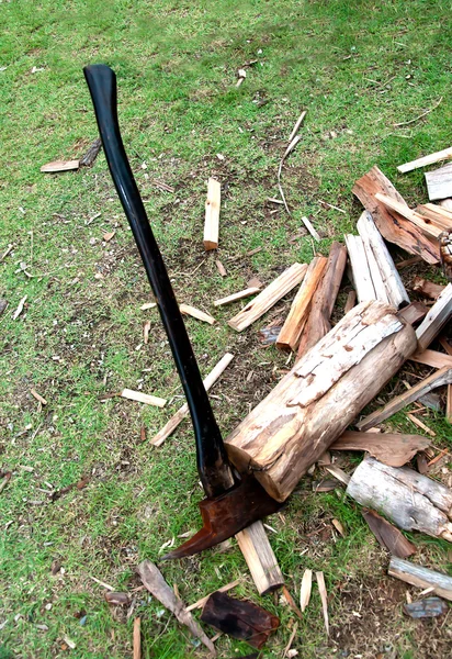 Cut log firewood and old axe — Stock Photo, Image