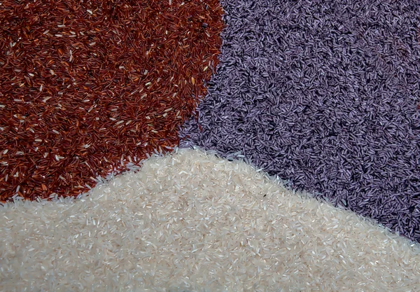 Colorful of rice — Stock Photo, Image