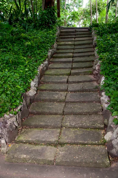 Ancien escalier — Photo