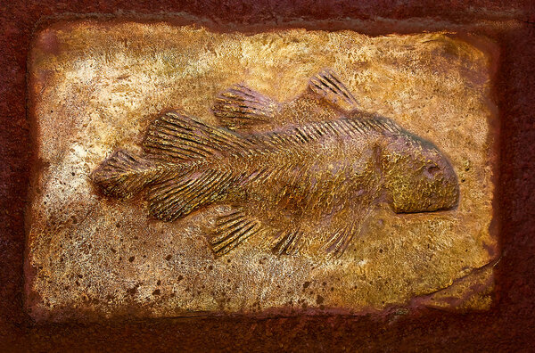 The Model fossil of ancient fish