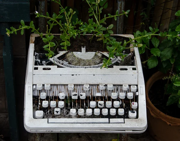 Máquina de escribir vieja con flor — Foto de Stock