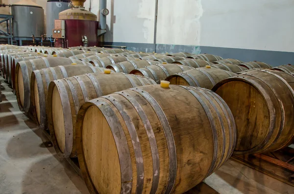 Wine barrels in cellar — Stock Photo, Image