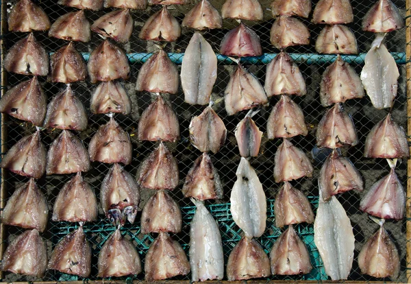 Pesce essiccato — Foto Stock