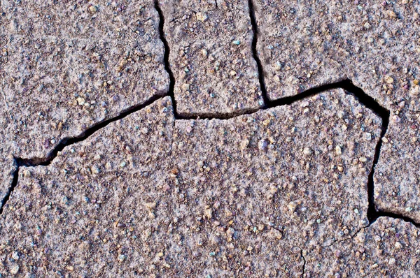Detalje af revnet jord baggrund tekstur - Stock-foto