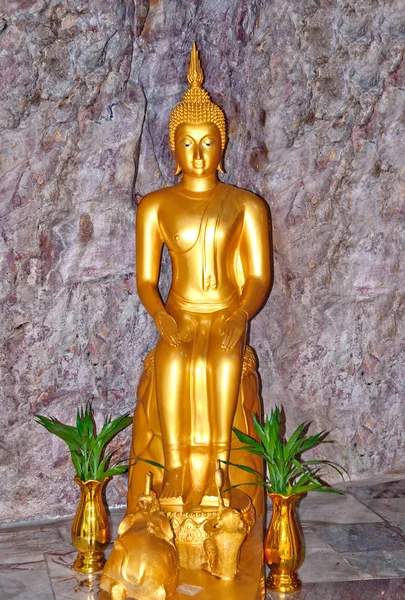 Buddha status — Stockfoto