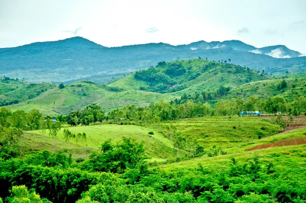 A montanha e a floresta na Tailândia — Fotografia de Stock