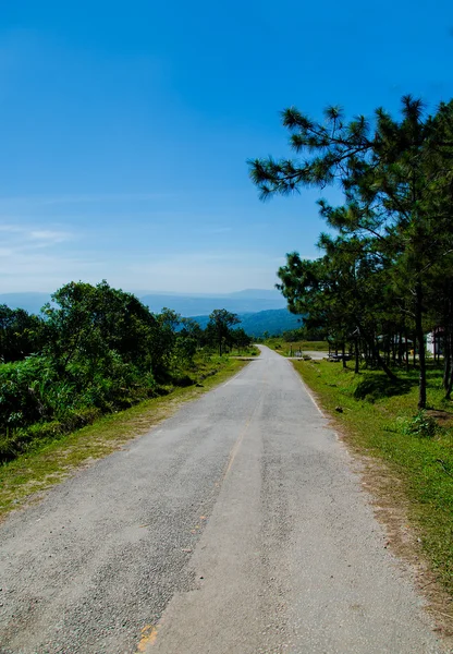 Route sur la montagne — Photo