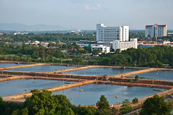 De Garnaal landbouw — Stockfoto