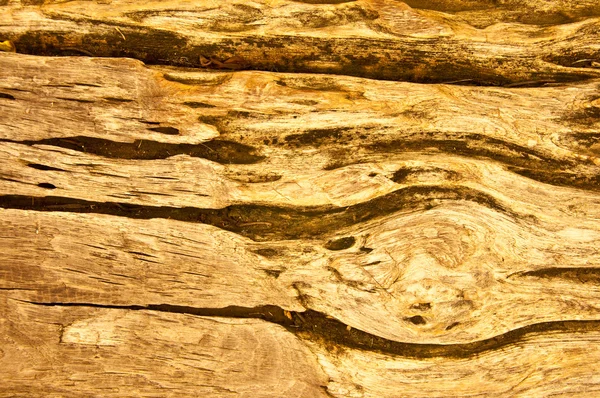 La consistenza del legno — Foto Stock