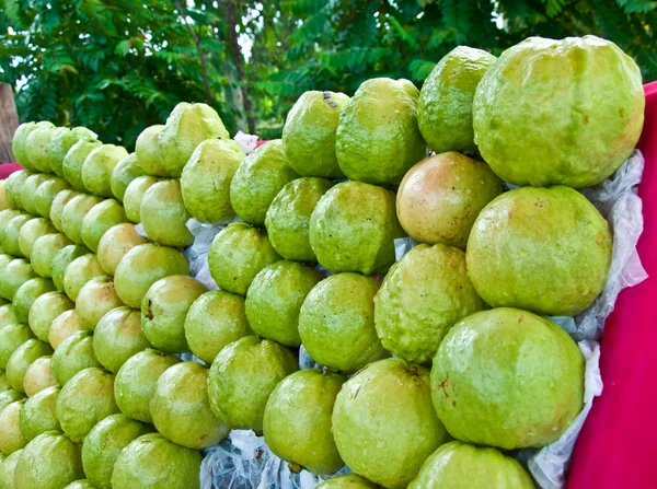 De vrucht guava — Stockfoto