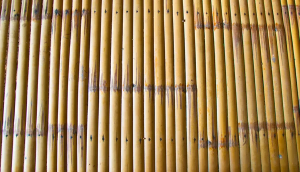A textura de bambu — Fotografia de Stock