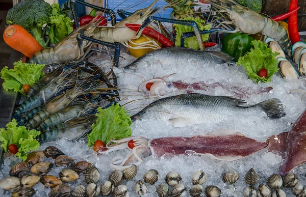 Raw seafood on ice — Stock Photo, Image