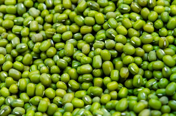 Closeup Mungo fazole — Stock fotografie