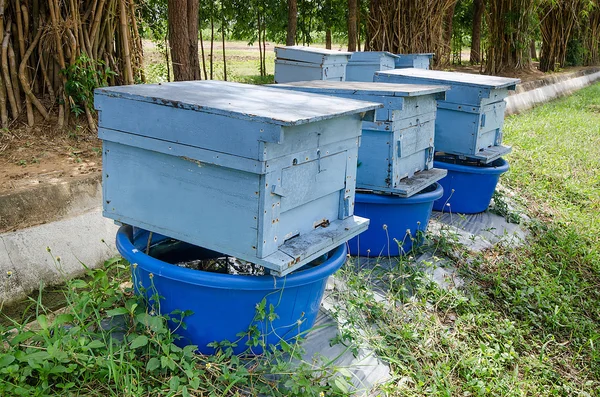 Bienenzuchtbetrieb — Stockfoto