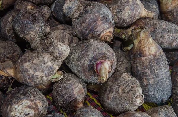 Group of taro roots — Stock Photo, Image