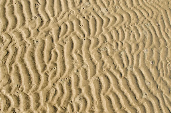 砂の波背景 — ストック写真