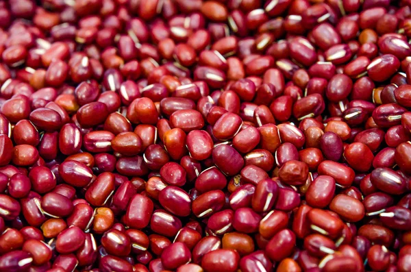 Red bean background — Stock Photo, Image