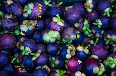 Colorful of fresh mangosteen