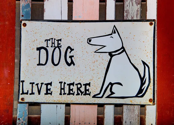 Sign dog vivre ici — Photo