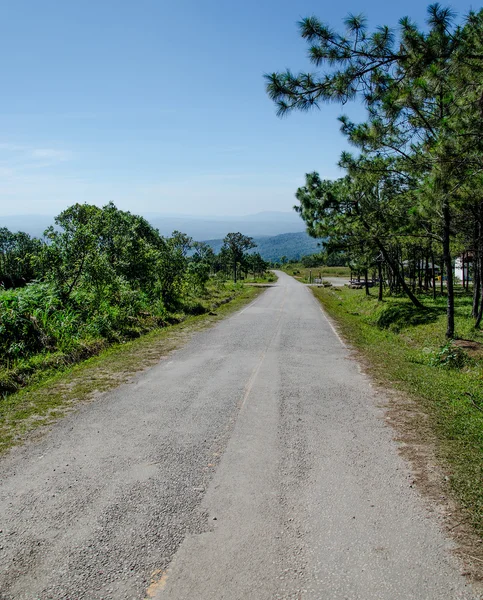 Route sur la montagne — Photo