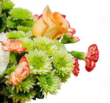 Beyaz arkaplanda izole edilmiş güzel çiçek