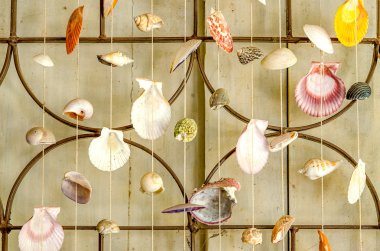 Curtains of Sea shells clipart