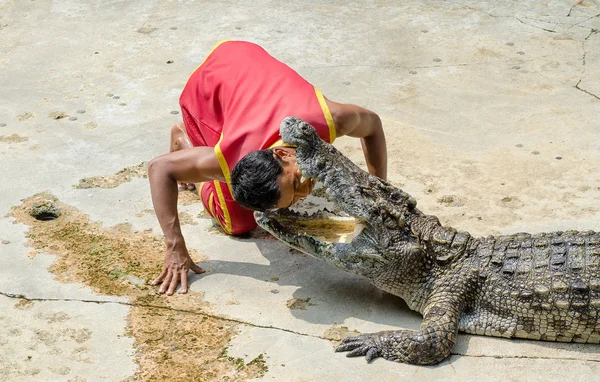 Samutprakarn, Tajlandia Październik 27: krokodyl Pokaż w fa krokodyl — Zdjęcie stockowe