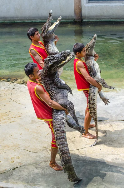 Samutprakarn, thailand-oktober 27: krokodil show at crocodile fa — Stockfoto