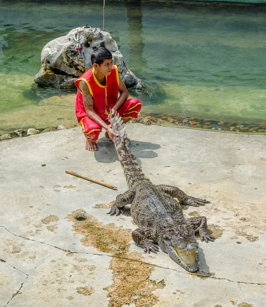 Samutprakarn, thailand-oktober 27: krokodil show at crocodile fa — Stockfoto