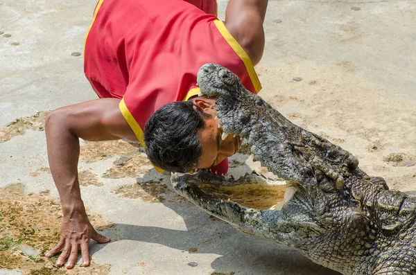 SAMUTPRAKARN,THAILAND-OCTOBER 27: crocodile show at crocodile fa — Stock Photo, Image