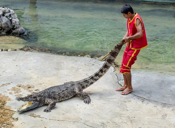 SAMUTPRAKARN, THAILAND-OCTOMBRIE 27: spectacol de crocodil la crocodil fa — Fotografie, imagine de stoc