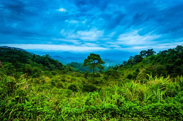 Vista de la montaña — Foto de Stock