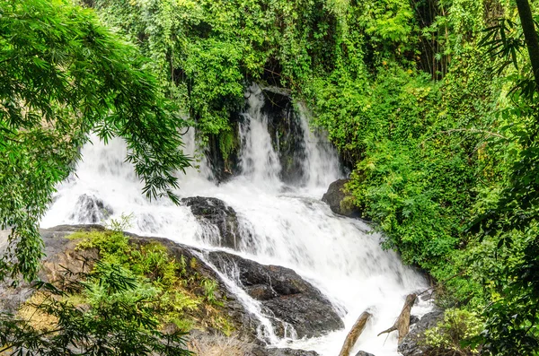 Hermosa de cascada en el bosque — Foto de Stock