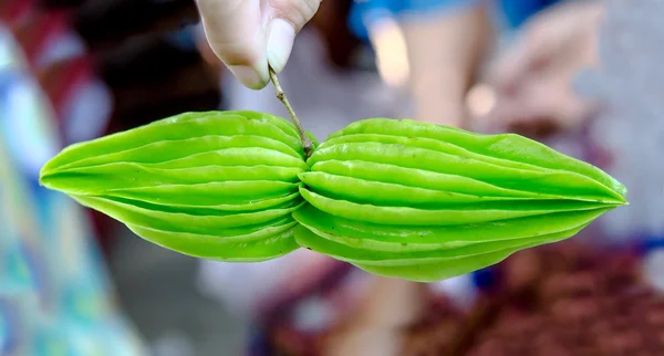 新鲜甘草 — 图库照片