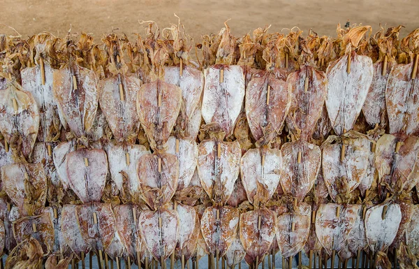 Gedroogde inktvis in Thaise markt, thailand — Stockfoto