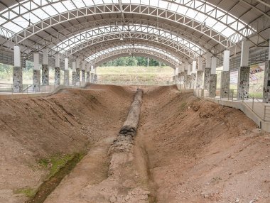 Antik taşlaşmış ağaç ilindeki tak, Tayland