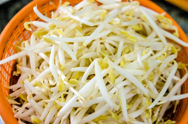 Mung beans or bean sprouts on basket — Stock Photo, Image