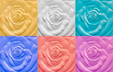 The Sculpture sandstone of rose clipart
