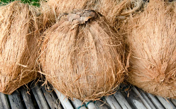 Torkade kokosnötter på marknaden — Stockfoto