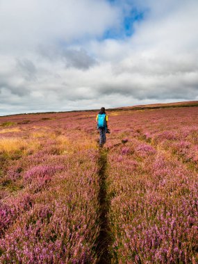 Genç bir çocuk açık bozkırda canlı mor fundalıkta tek başına yürüyüş yapıyor. Gökyüzü gri ama yaz mevsimindeyiz ve çocuk eğleniyor. Uzaklık hissine kapılırsın..